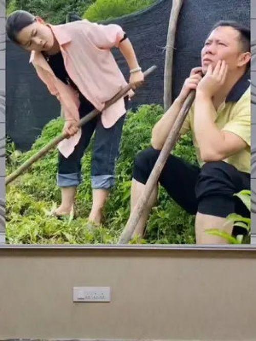 娱乐八卦一定是吃瓜群众的吗,揭秘吃瓜群众的狂欢盛宴